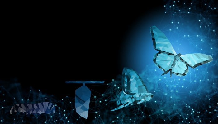 picture of transformation of a chrysalis into a butterfly, symbolizes business change management